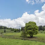 Feldberg Mit Balkon