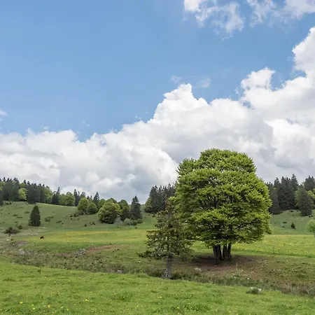 Feldberg Mit Balkon