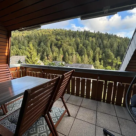 Feldberg Mit Balkon * Todtmoos