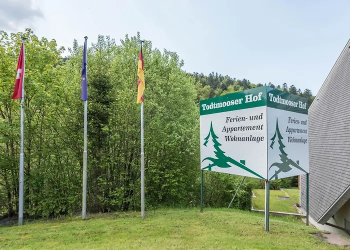 Feldberg Mit Balkon アパート *