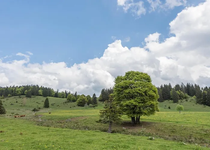 Feldberg Mit Balkon